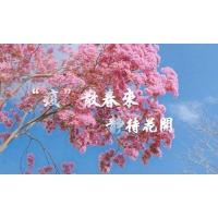 疫散終有時(shí)，春暖花自開-科明致敬每一個(gè)認(rèn)真防疫的東莞人